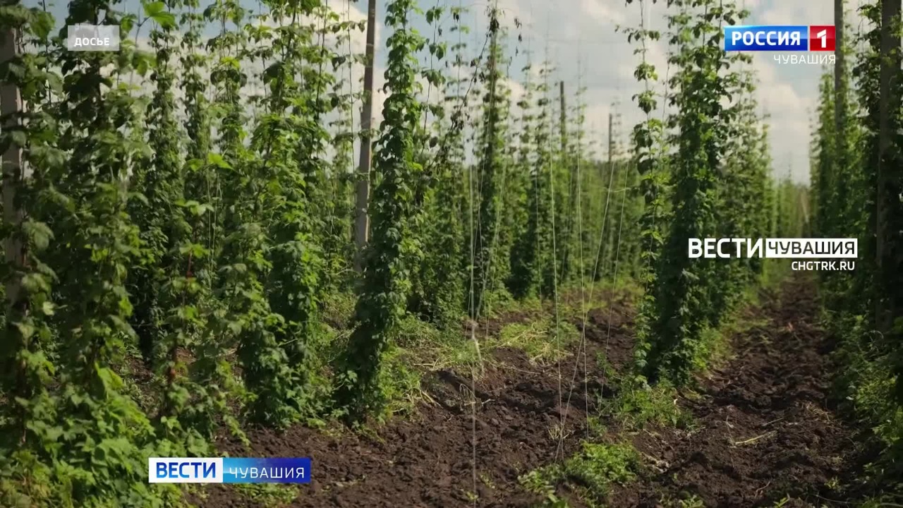 Эфир от 18.11.2024