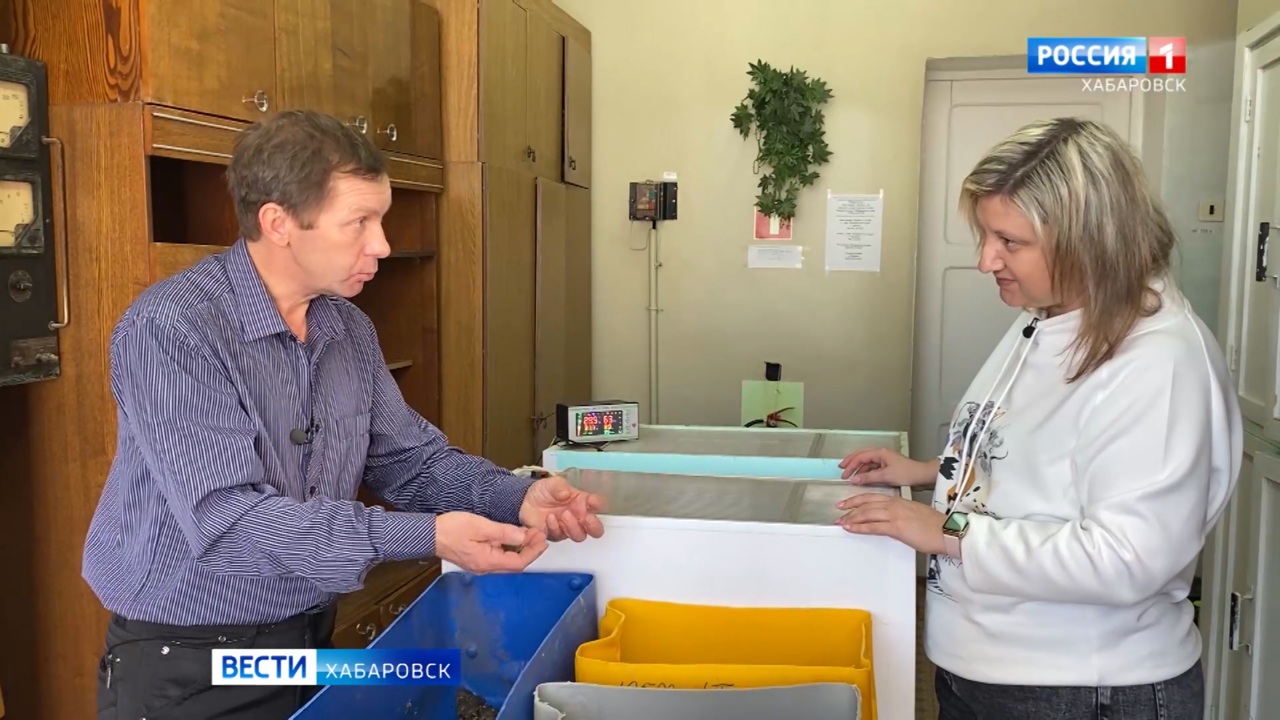 Как школьники Хабаровского края стали "спасателями" для краснокнижной черепахи