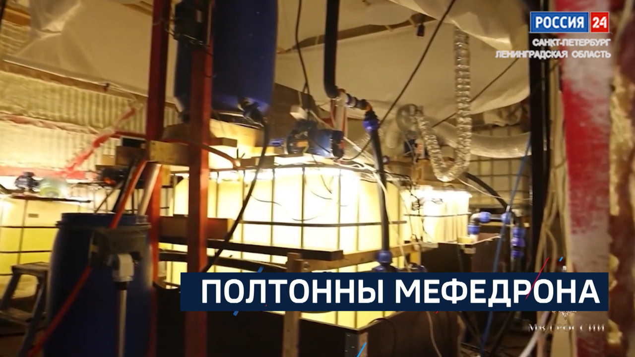 Эфир от 26.11.2024