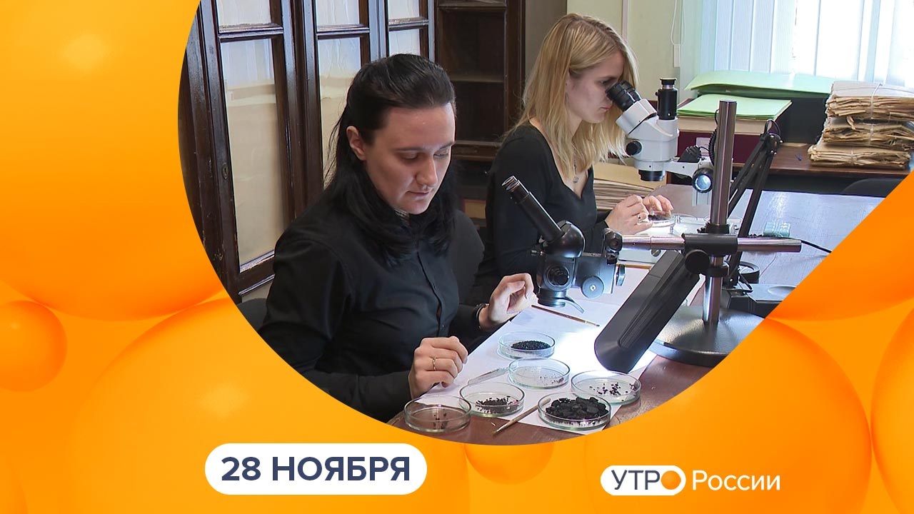 Эфир от 28.11.2024