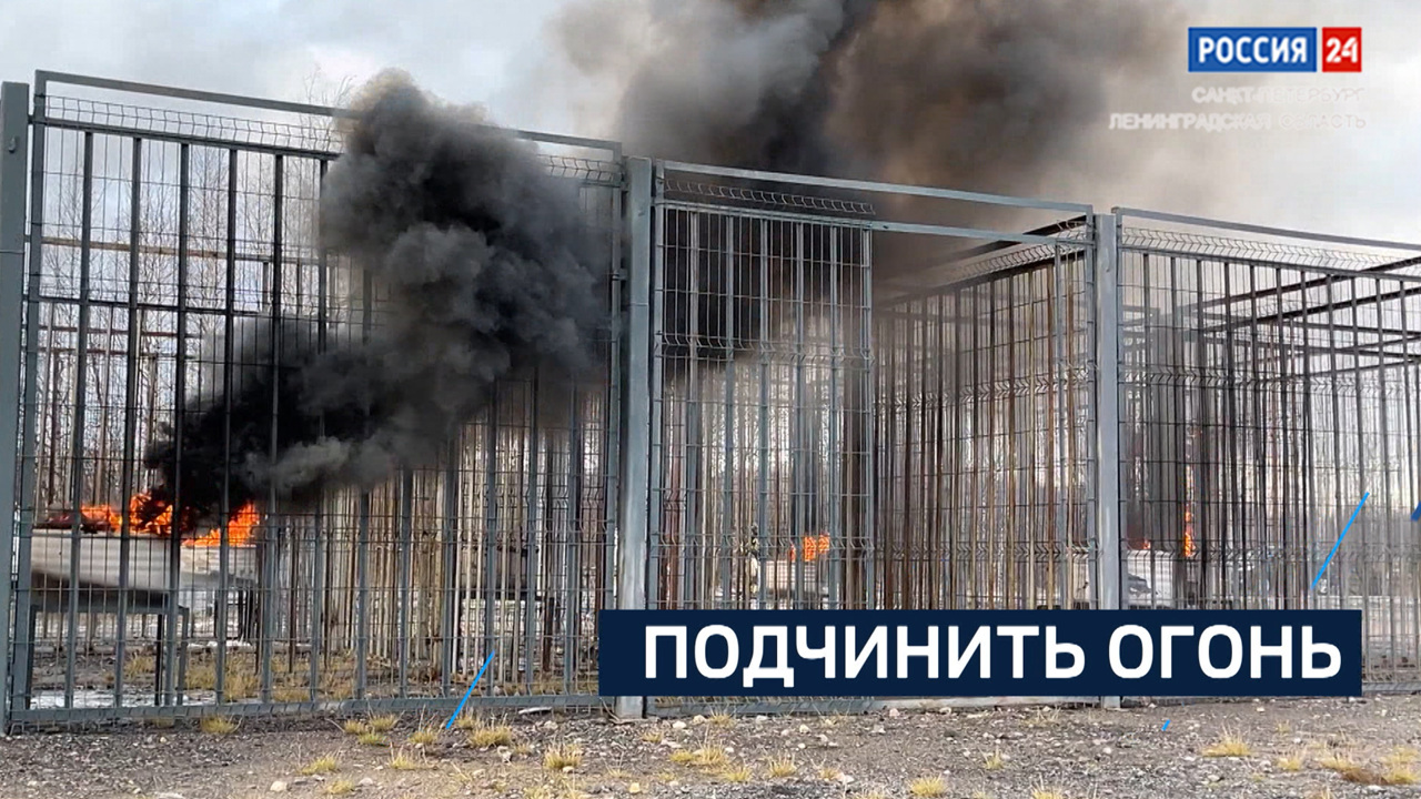 Эфир от 28.11.2024