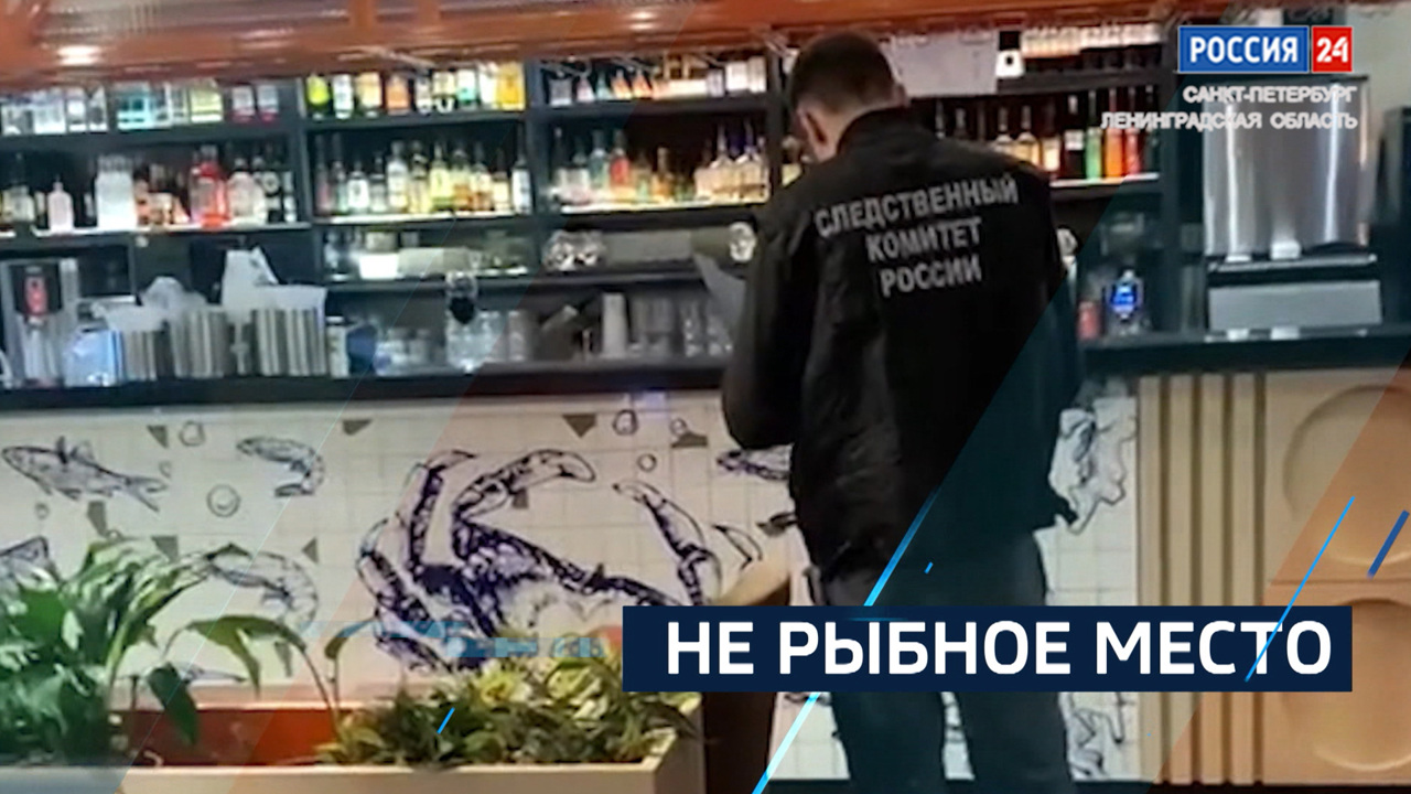 Эфир от 29.11.2024