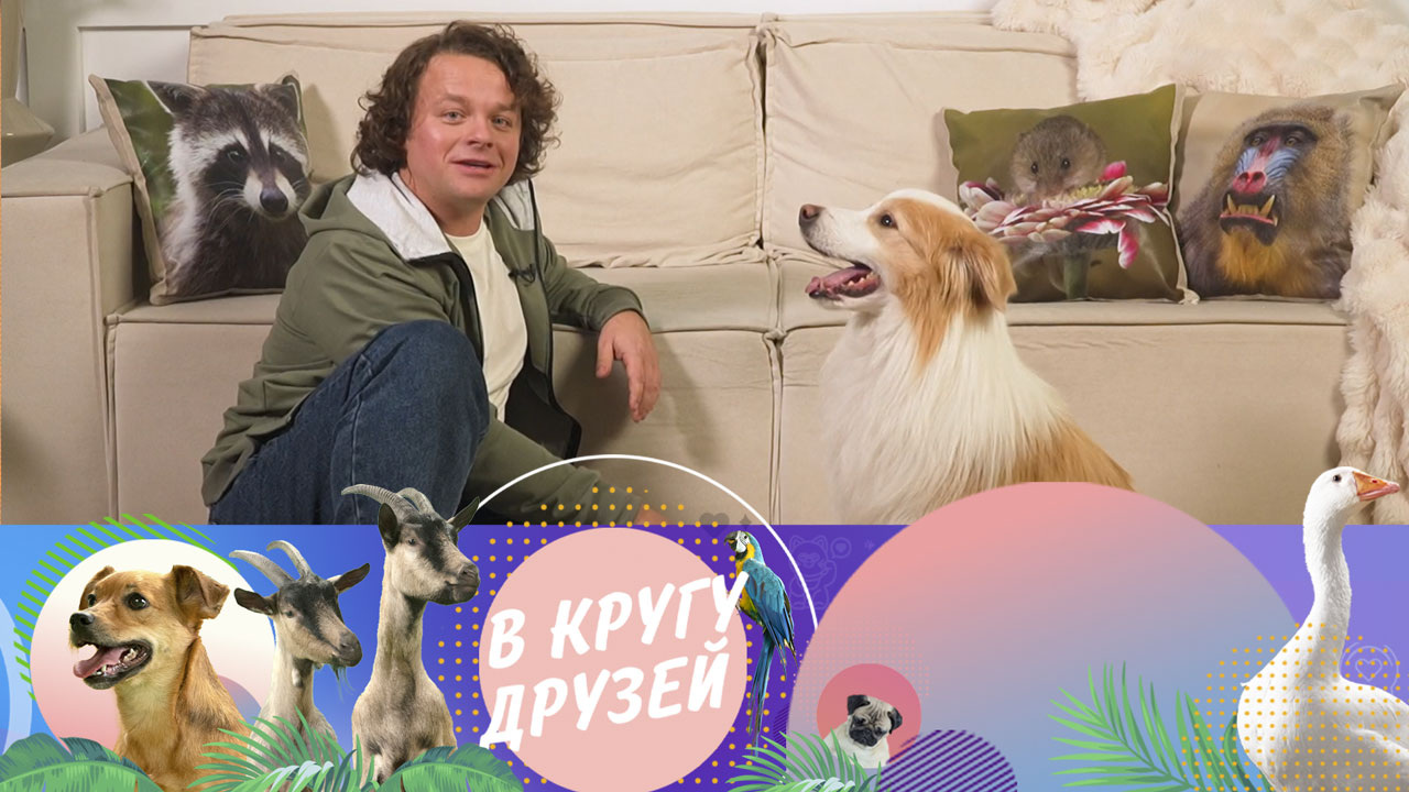 Эфир от 01.12.2024