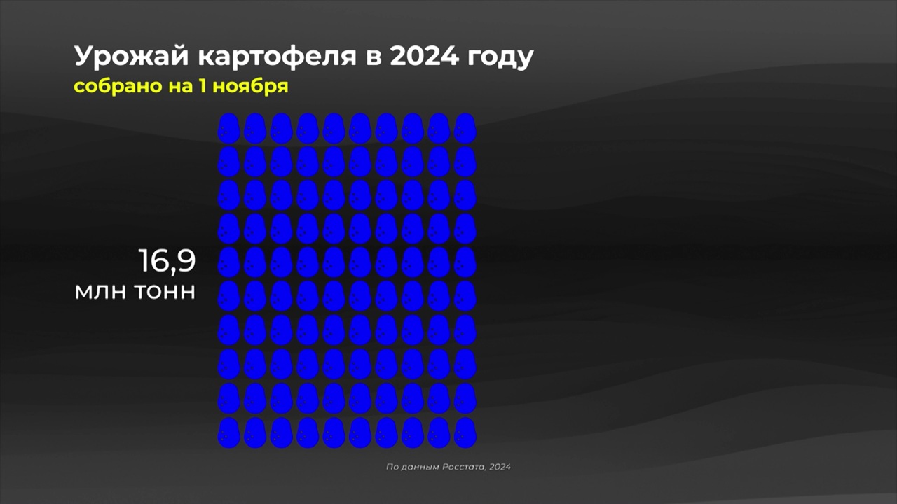 Россия в цифрах. Где выращиваем картофель?