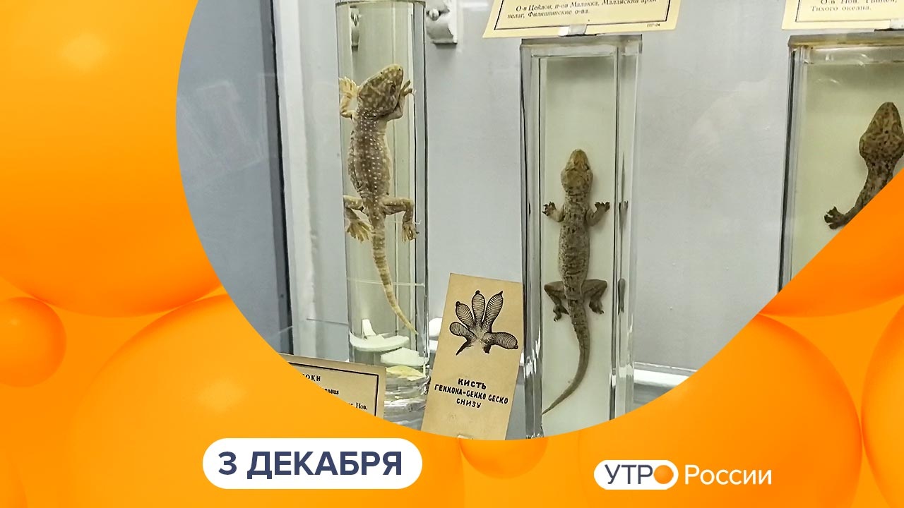 Эфир от 03.12.2024