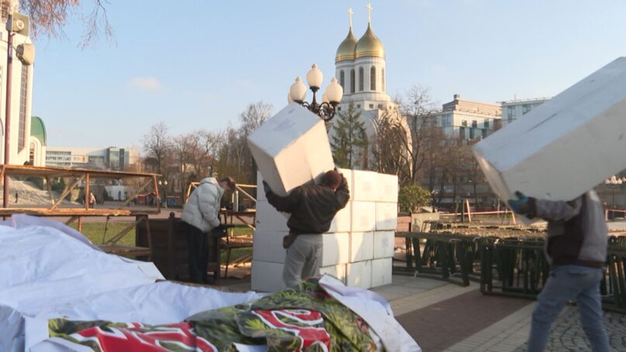 В Калининграде приступили к установке главной новогодней елки областного центра