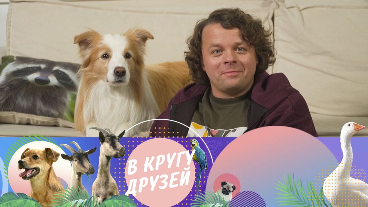 Эфир от 08.12.2024