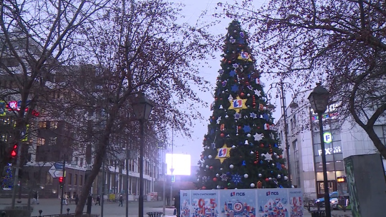 Эфир от 08.12.2024