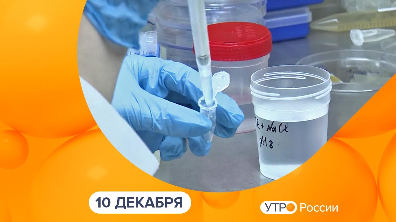 Эфир от 10.12.2024