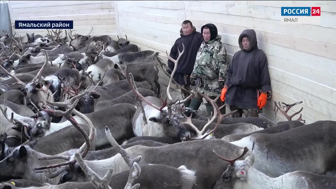 Эфир от 12.12.2024 (10:00)