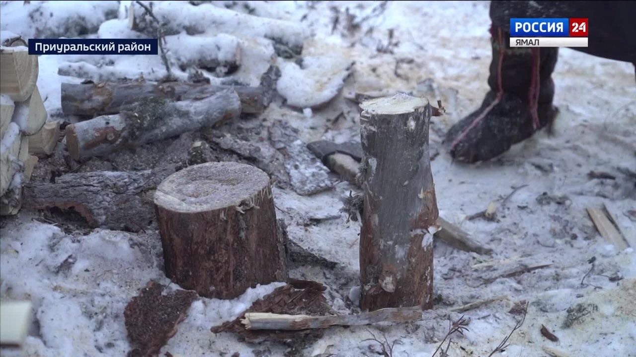 Эфир от 13.12.2024 (10:00)