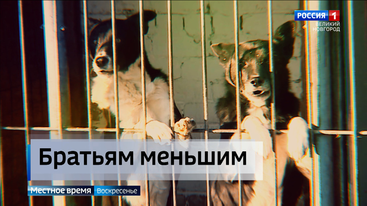 Эфир от 15.12.2024
