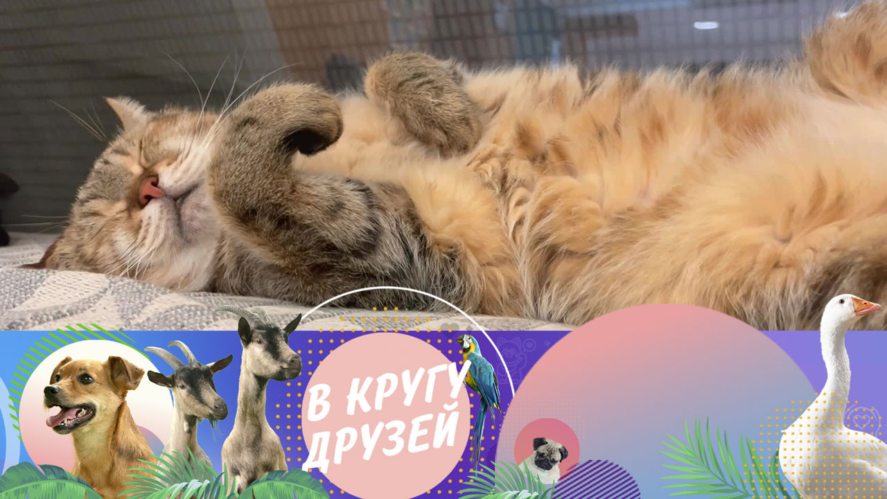 Эфир от 15.12.2024