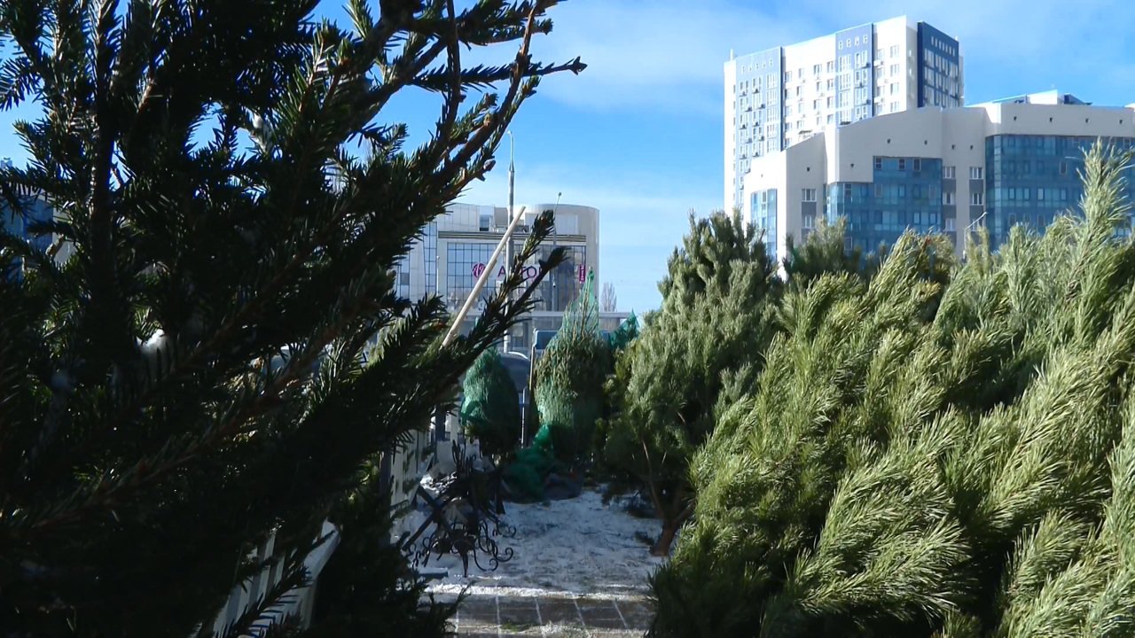 Эфир от 16.12.2024