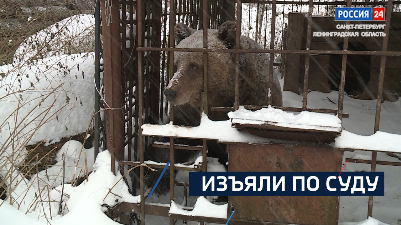 Эфир от 16.12.2024
