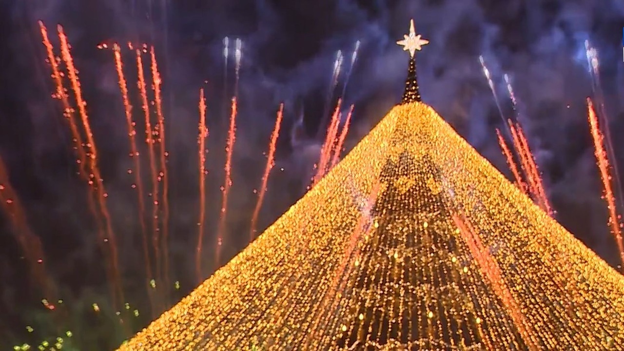 Эфир от 15.12.2024