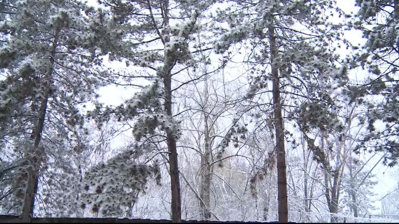 Эфир от 17.12.2024 (06:35)