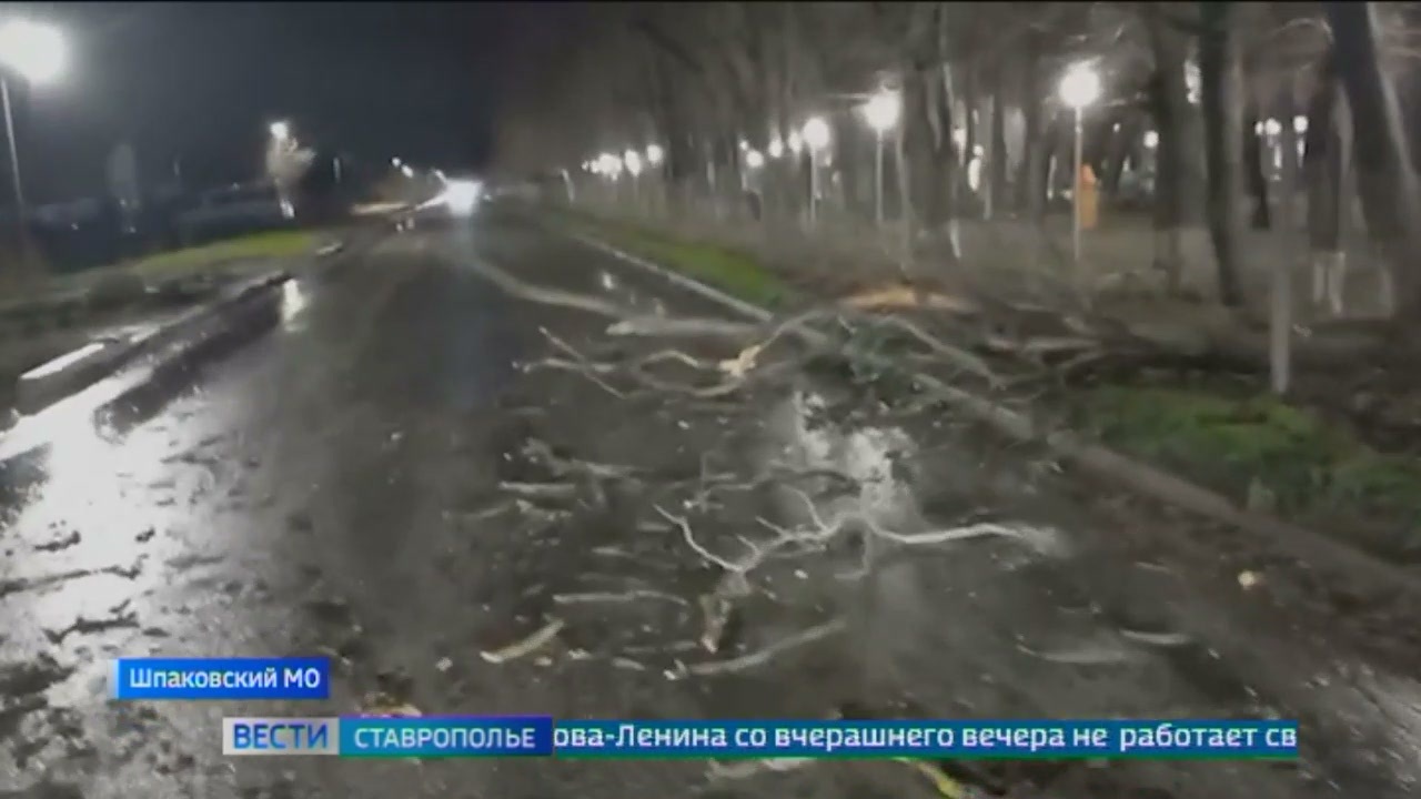 Эфир от 18.12.2024 (09:30)