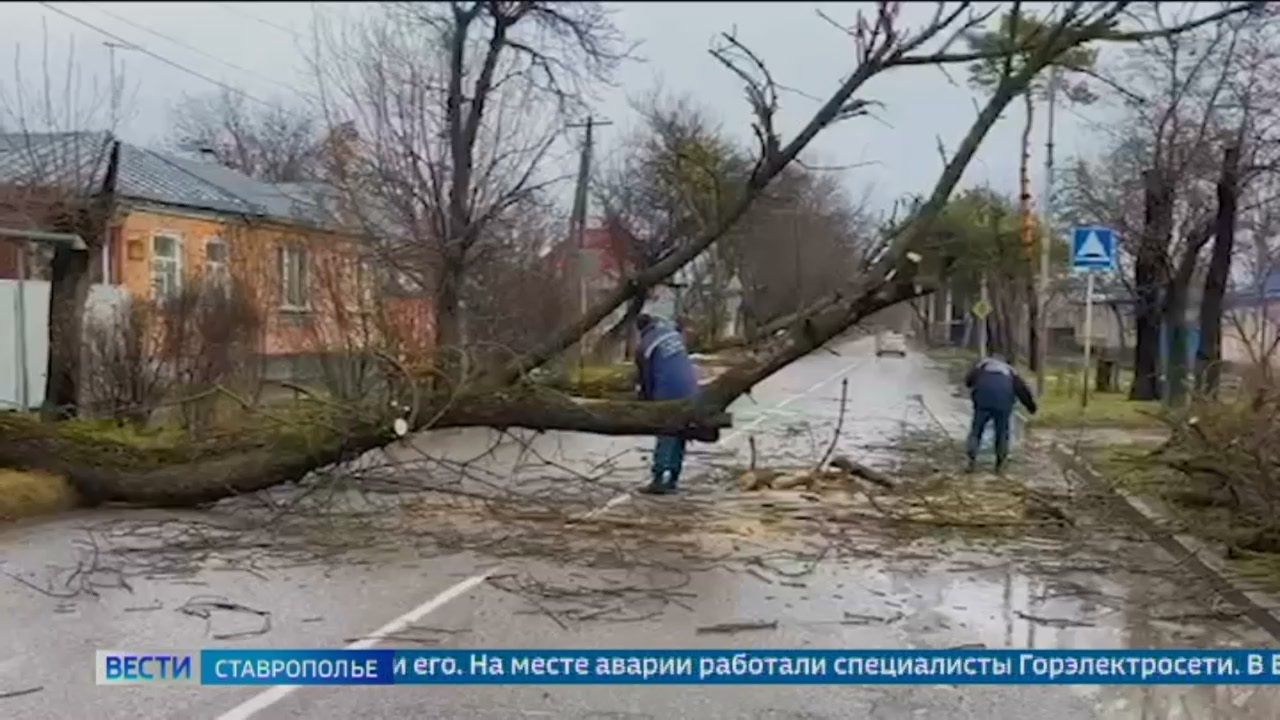 Эфир от 18.12.2024 (14:30)