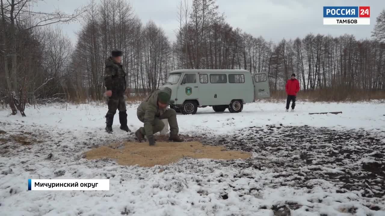 Эфир от 22.12.2024