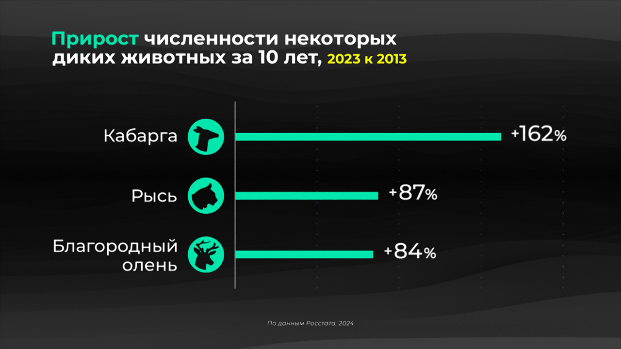 Россия в цифрах. Как меняются популяции диких животных?