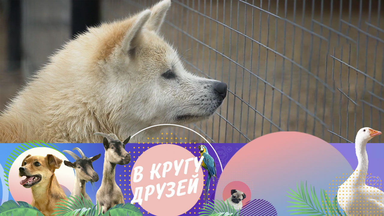 Эфир от 22.12.2024
