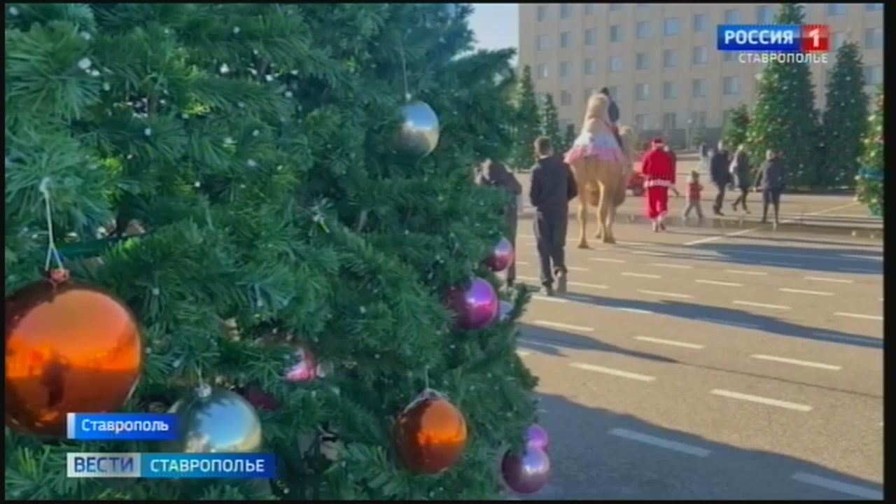 Эфир 21.12.2024 (14:30)