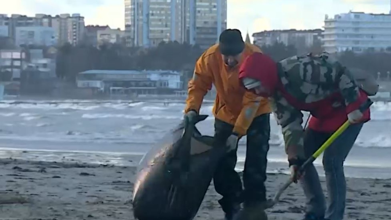 Эфир от 23.12.2024 (06:35)