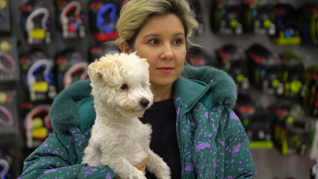 Эфир от 21.12.2024