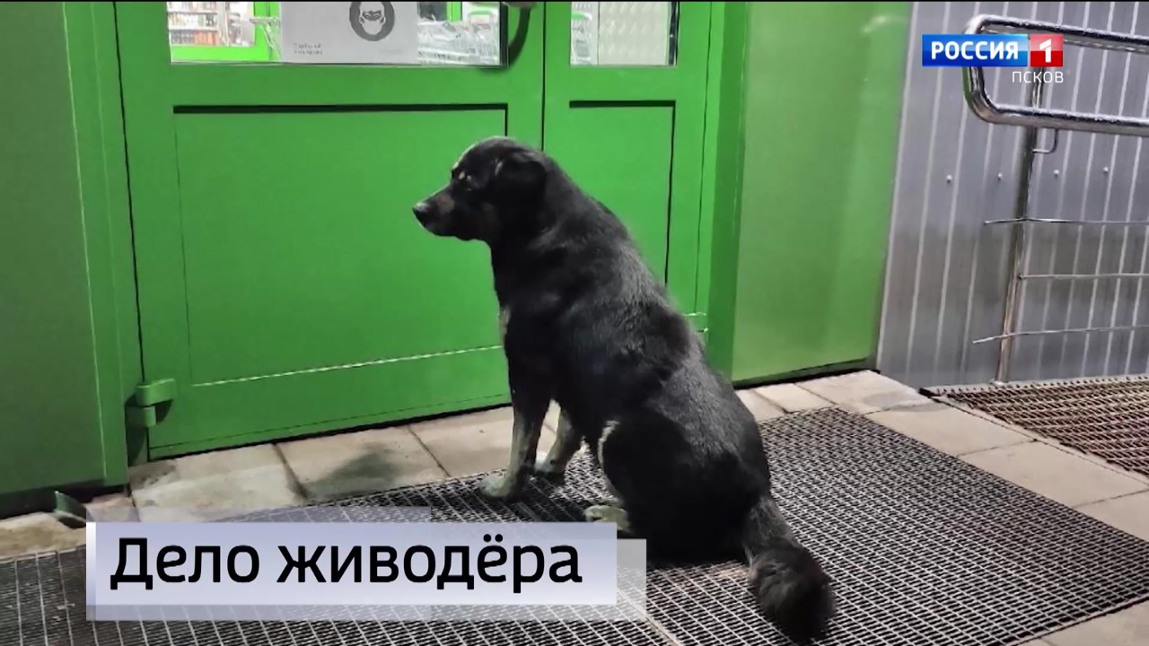 Эфир от 23.12.2024 (14:30)