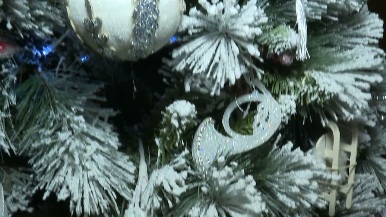 Эфир от 24.12.2024 (09:30)