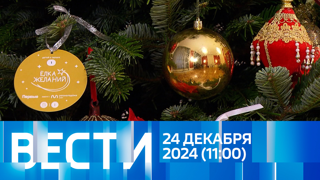 Эфир от 24.12.2024 (11:00)