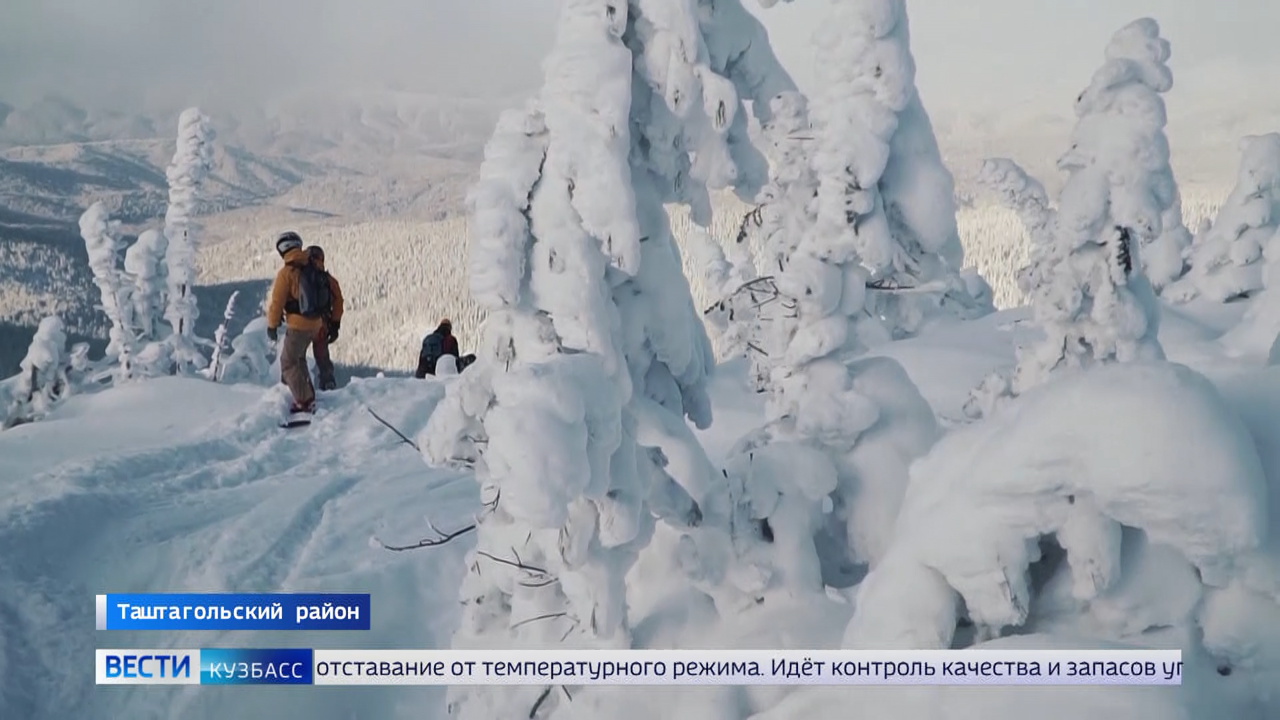 Эфир от 24.12.2024 (14:30)