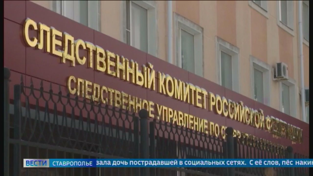 Эфир от 24.12.2024 (14:30)