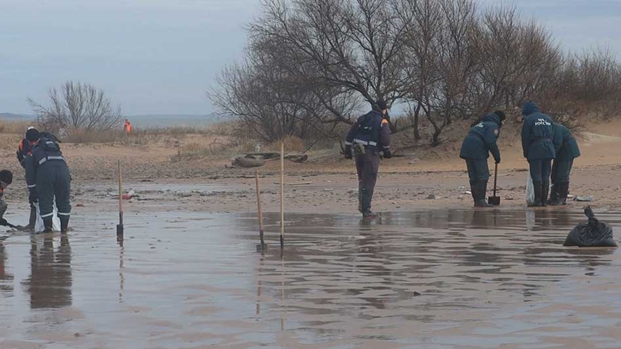 Федеральный режим ЧС не планируют вводить из-за разлива нефтепродуктов в Черном море