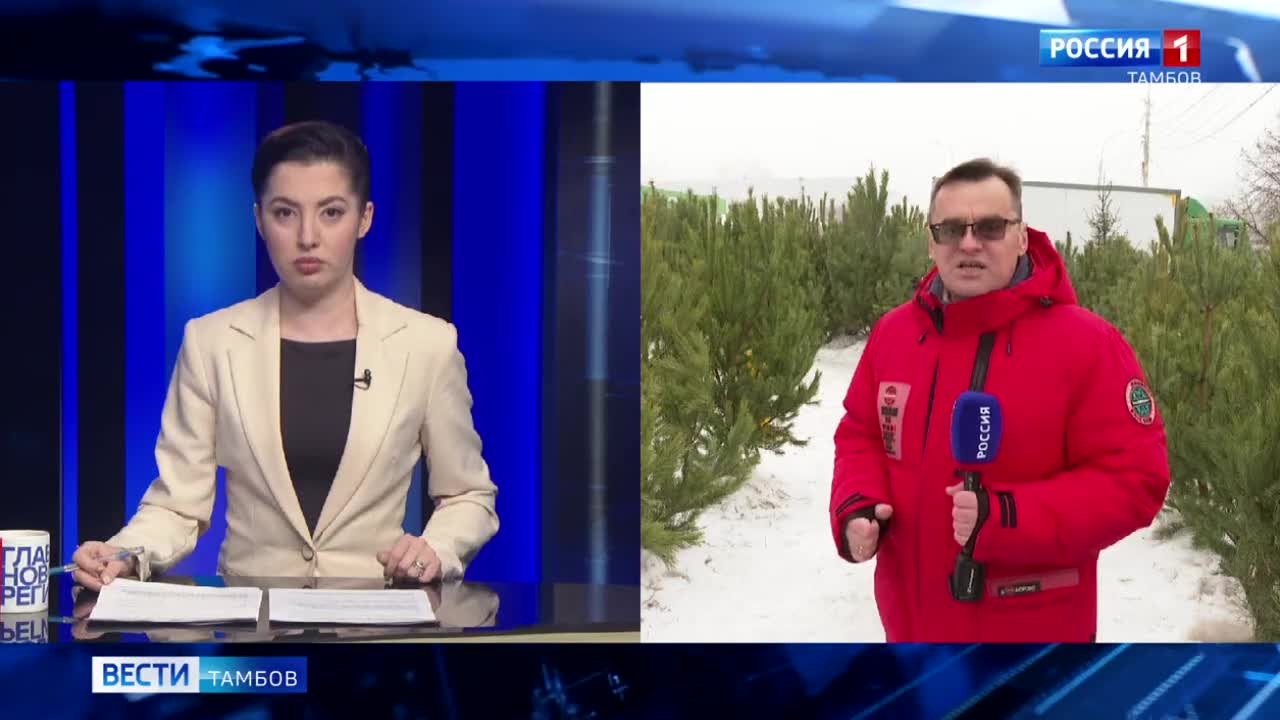 За торговлю ёлками в несанкционированных местах предприниматели заплатят 5000 рублей