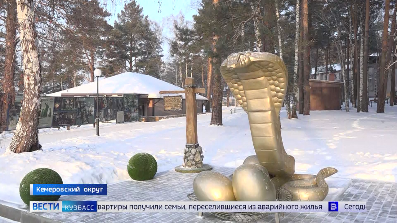 Эфир от 25.12.2024 (14:30)
