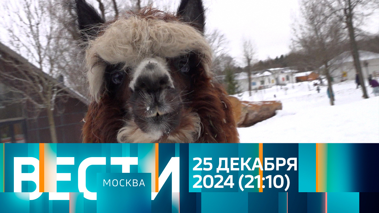 Эфир от 25.12.2024 (21:10)