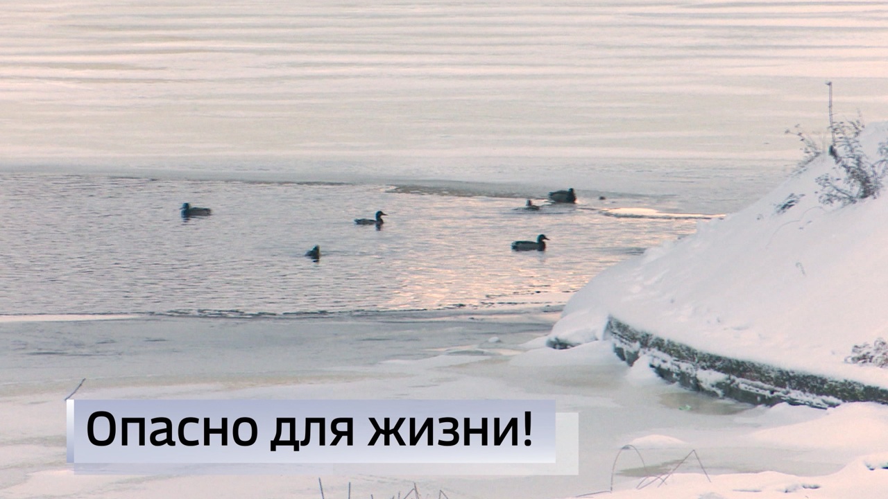 Эфир от 25.12.2024 (21:10)