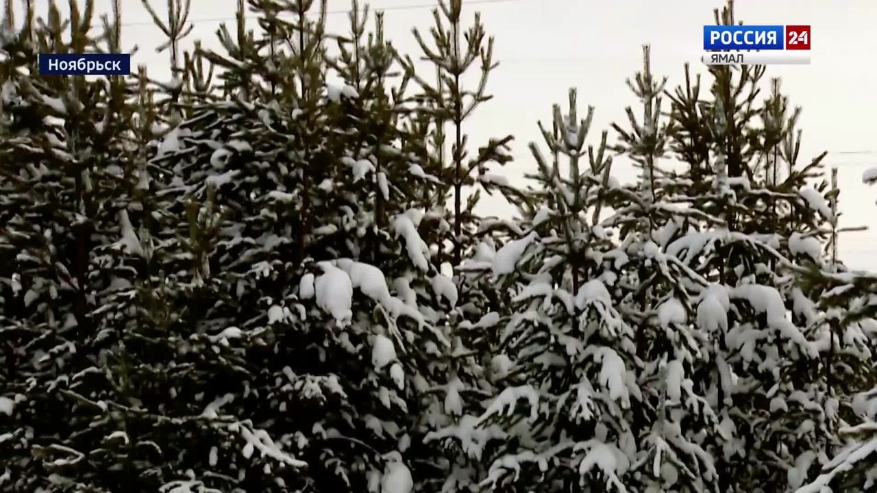Эфир от 26.12.2024 (19:30)