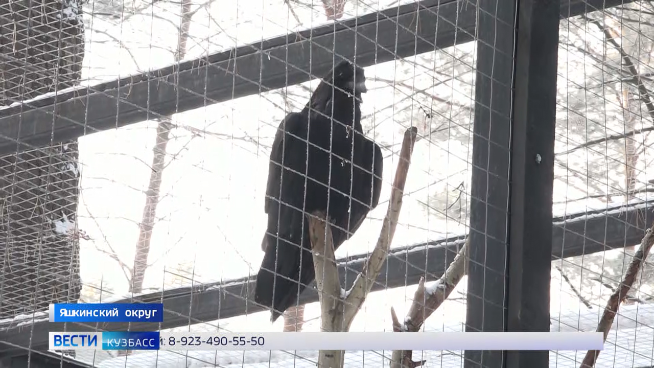 Эфир от 26.12.2024 (14:30)