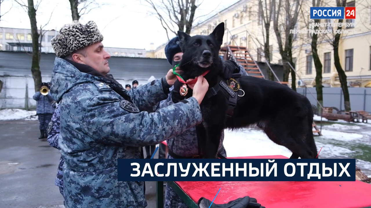 Эфир от 26.12.2024