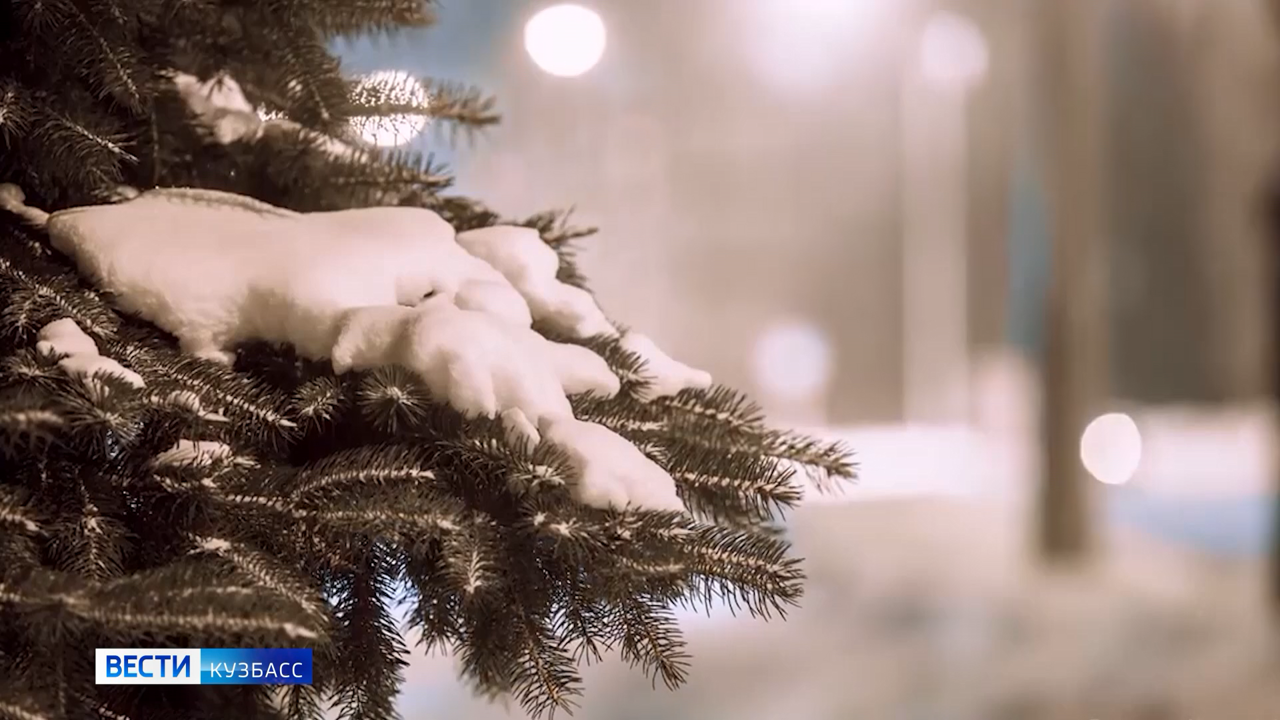 События недели (эфир от 29.12.2024)