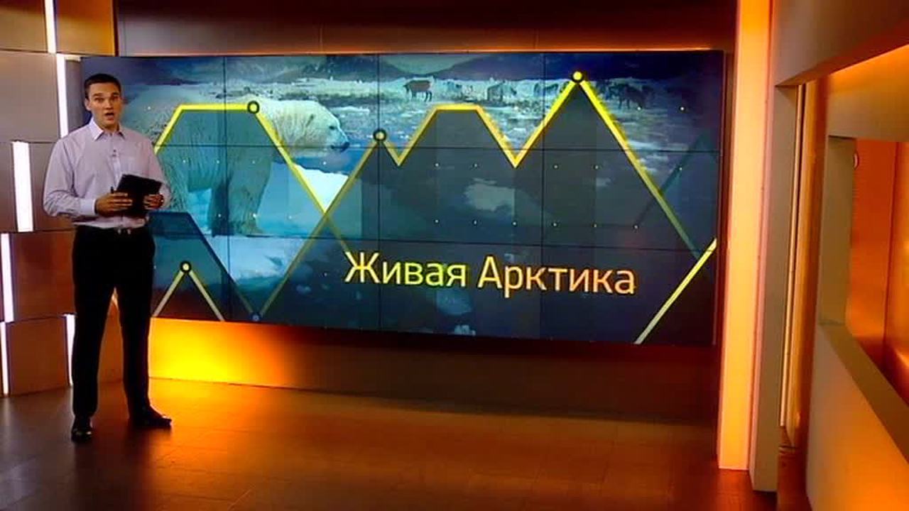 Программа "Нефть"