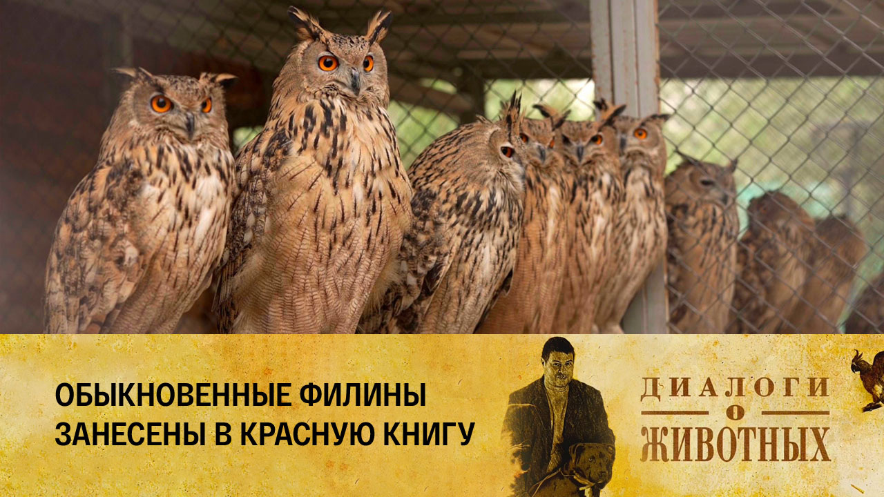 Алматинский зоопарк