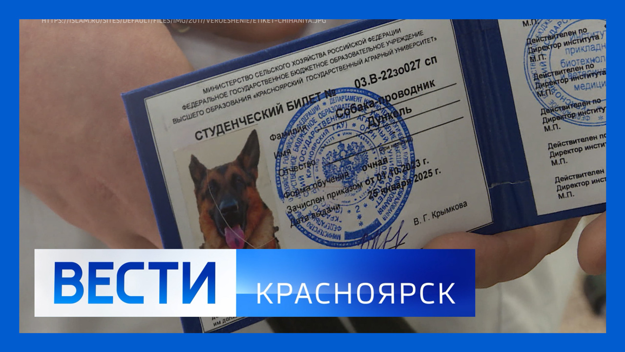 Эфир от 27.01.2025