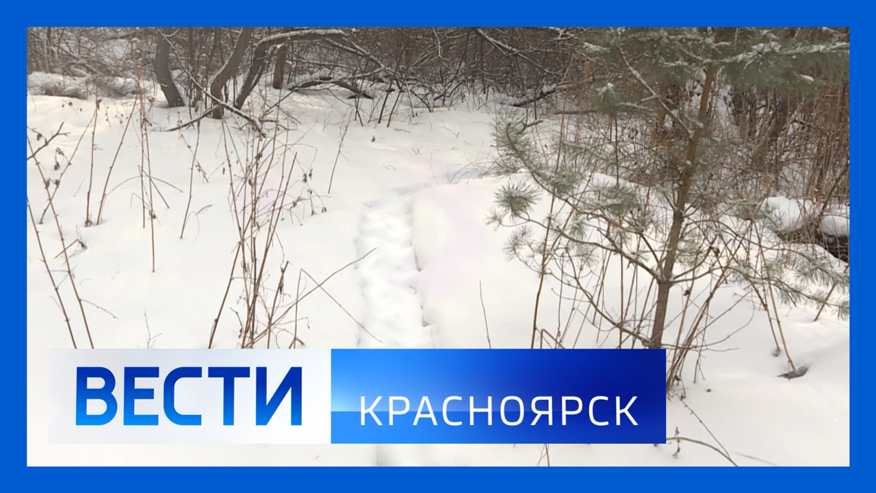 Эфир от 29.01.2025