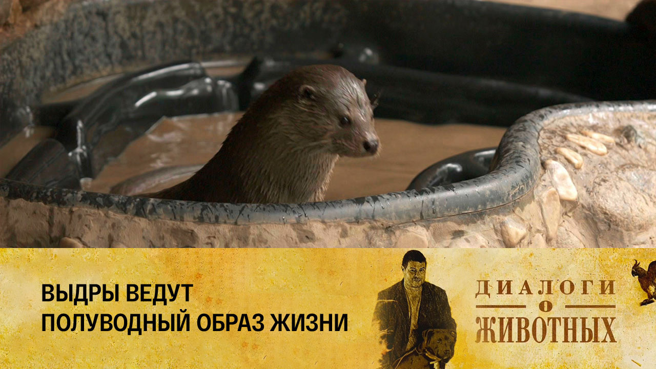 Алматинский зоопарк