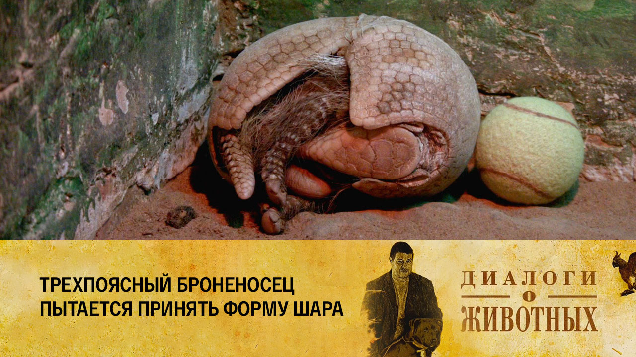 Алматинский зоопарк