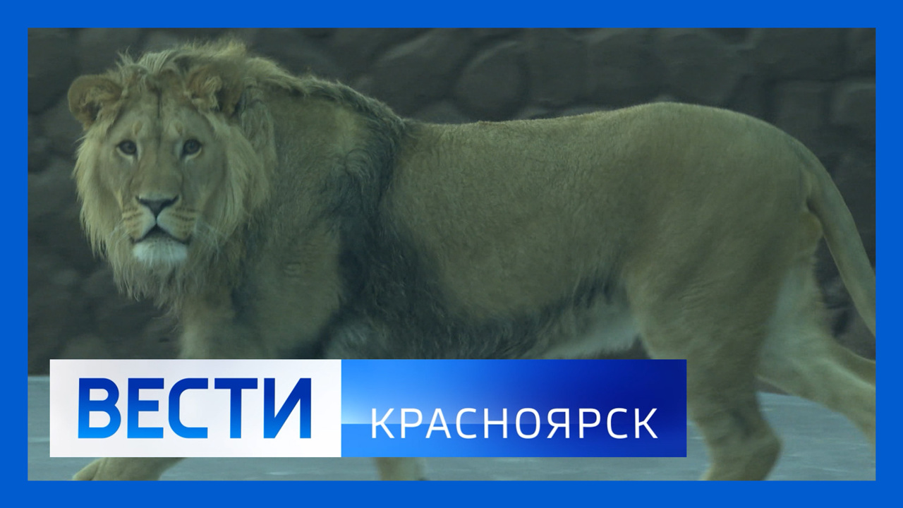 Эфир от 11.02.2025